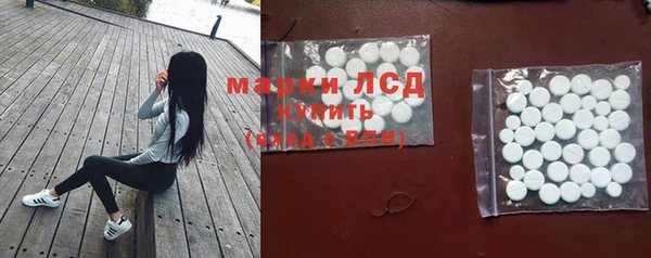соль ск Богородицк