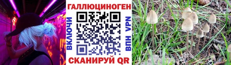 Псилоцибиновые грибы MAGIC MUSHROOMS  Дмитриев 